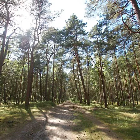 Appartamento M&k Apartamenty-amber Danzica