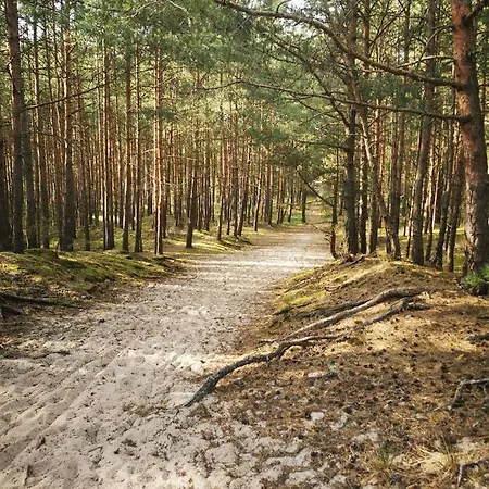 M&k Apartamenty-amber