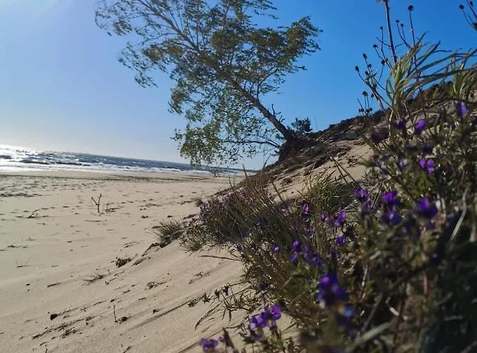 M&k Apartamenty-amber *