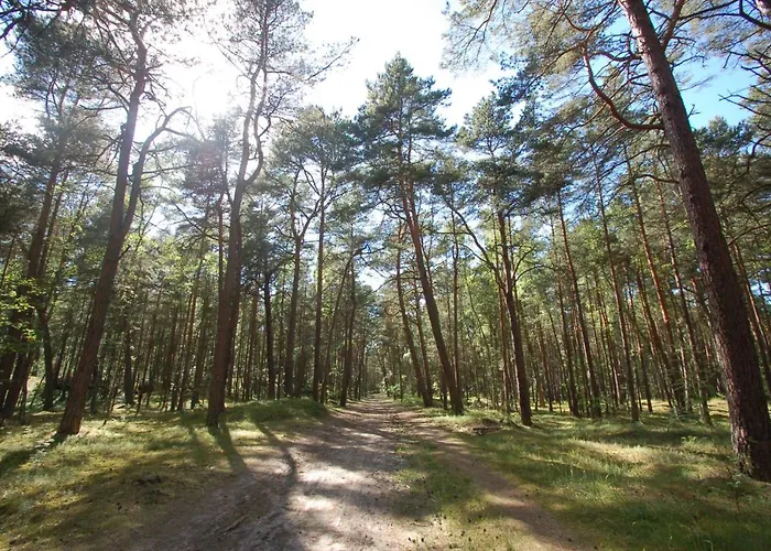 Apartman M&k Apartamenty-amber Gdańsk