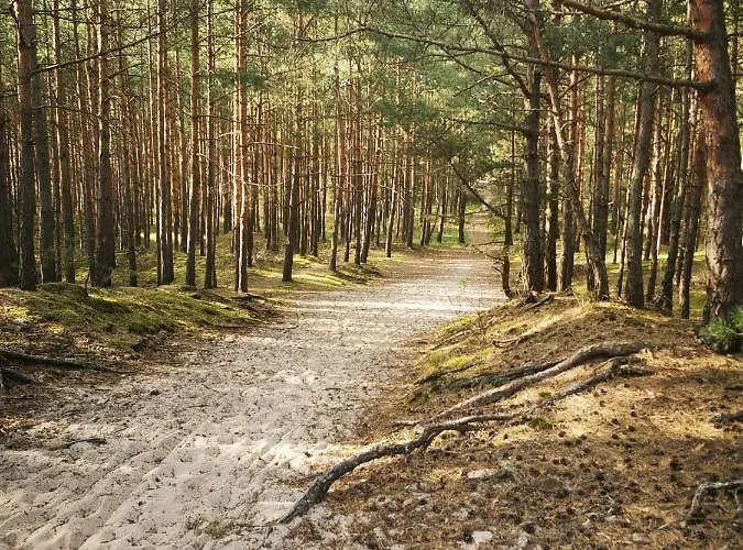 M&k Apartamenty-amber