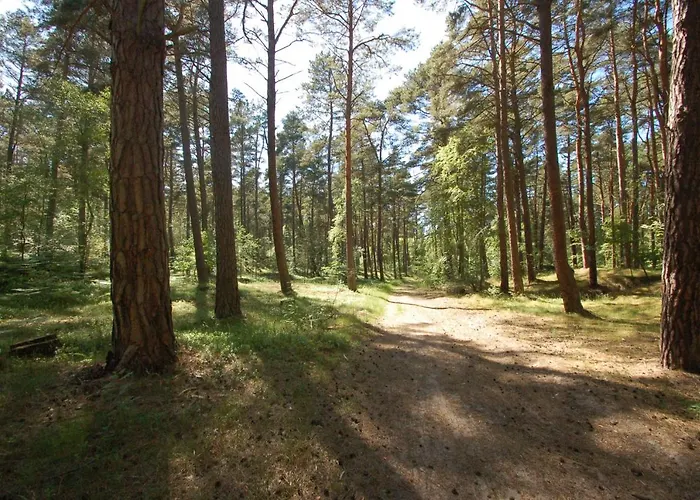 M&k Apartamenty-amber Danzica