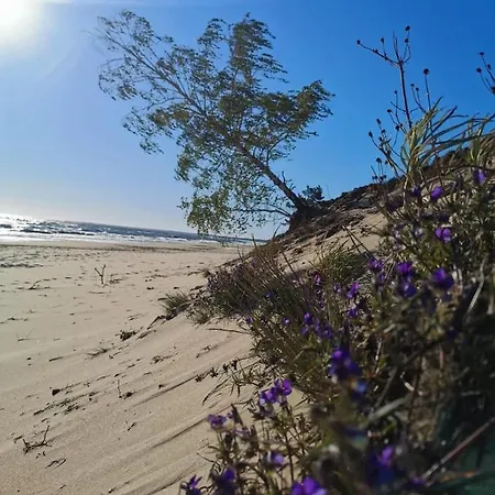 M&k Apartamenty-amber *